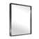 Lohoski Rectangle Wall Mounted Mirror with Aluminum Metal Frame, Beveled Decorative Thin Framed Accent Mirror, Horizontal and Vertical