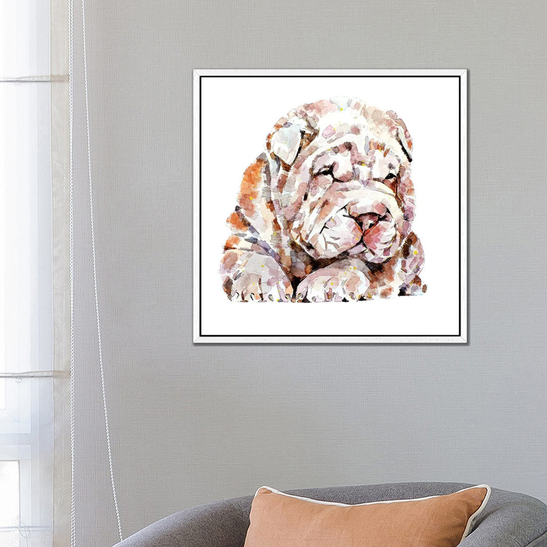 Shar Pei 1PC6