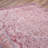 Premium Machine Washable Carpet, 4.6 x 6.2 Feet, 100% Polyester, 1850 g/m² | Pile Height: 0.2 Inches | Eco-Friendly Recycled Poly Cotton Underside | Perfect for Living Room, Bedroom, and High-Traffic Areas-303817595