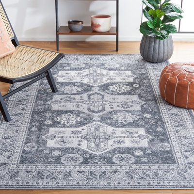 Gracie-Lou Performance Oriental Rug