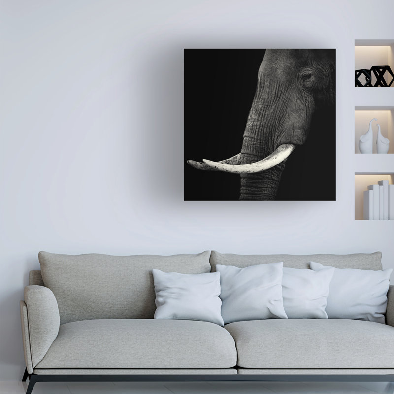 Éléphant sur toile, art audacieux, L 24 po x H 24 po