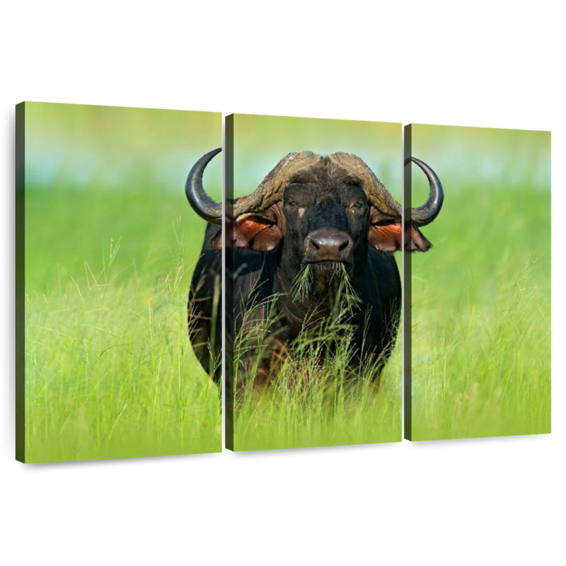 Brampt Eating Buffalo, 36" H x 57" W