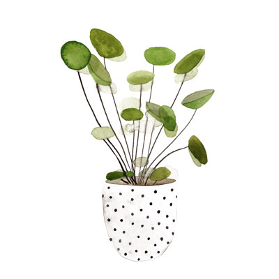 Plante dans un pot II