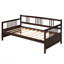 Lit de jour moderne en bois massif, multifonctionnel, taille simple, espresso-999916421-999916424