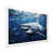 White Single Picture Framed