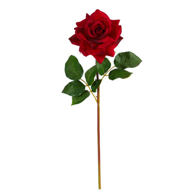 Rose Arrangement