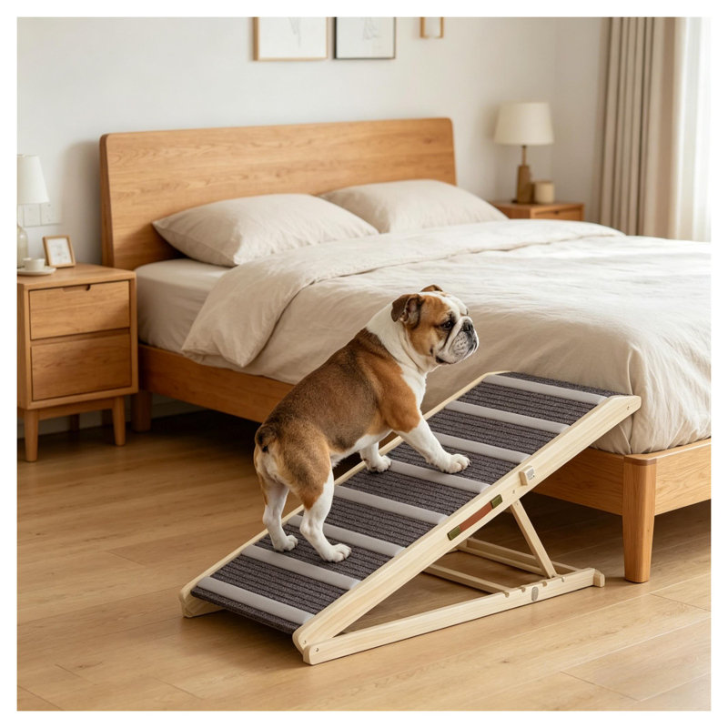 Rampe pliable pour animaux de compagnie pour lits hauts et véhicules, capacité de 110 lb, rampe antidérapante pour tapis pour chiens de taille moyenne et grande, structure en bois massif