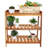 Etting 3-Tier Brown Meranti Wood Outdoor Plant Stand Garden Shelf