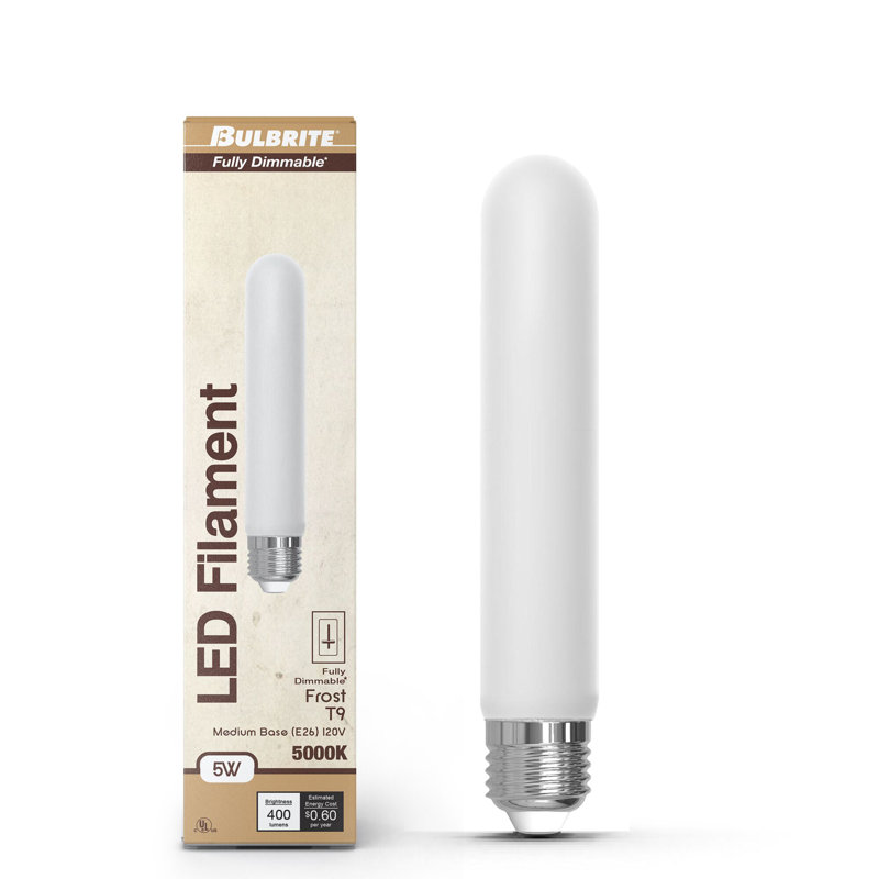 Ampoule 5 po T9 à intensité variable 5 po avec finition en verre givré et base moyenne (E26), 5000