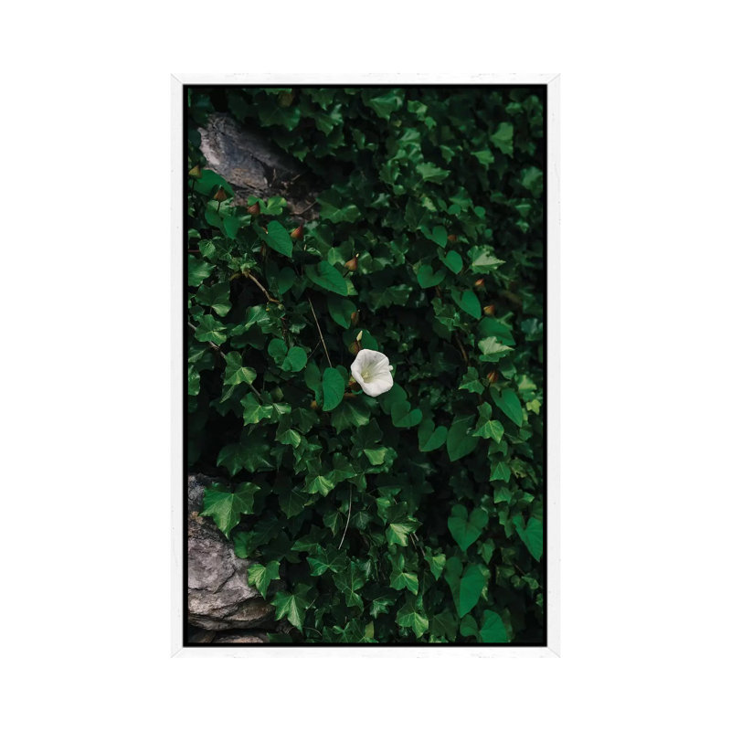 Amalfi Coast Blooms IV 1 Piece Wall Art on Canvas, 101.6cm H x 66.04cm W x 3.81cm D, White Framed
