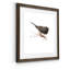 Mixed signaux IV-reproduction d’art sur papier encadrée-925224888-925224891