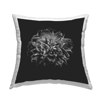 Coussin Stupell Industries