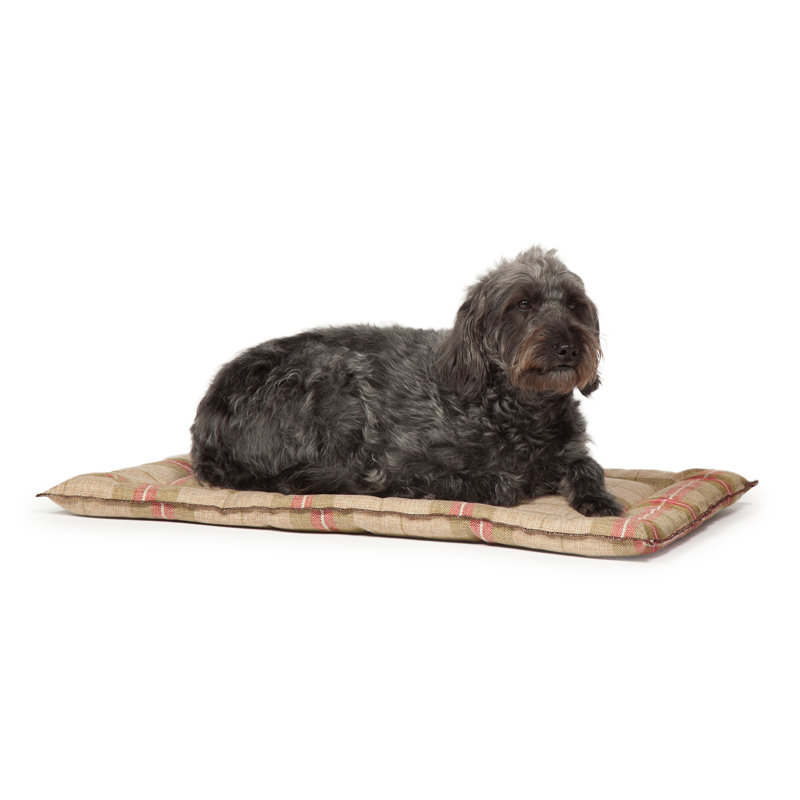 Newton Polyester Pet Bed, Small (61 cm L x 46 cm W)