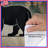 Bear In Forest Silhouette Duvet Covers-125062749