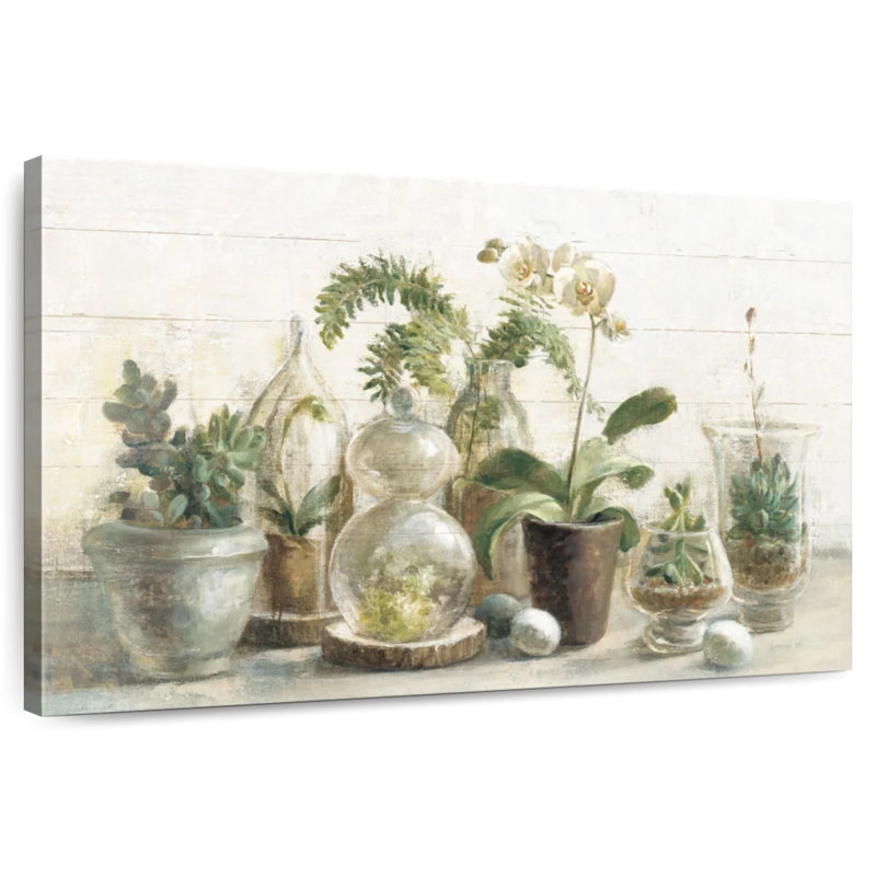 Orchidées Harnek Greenhouse I, H 34 po x l 51 po