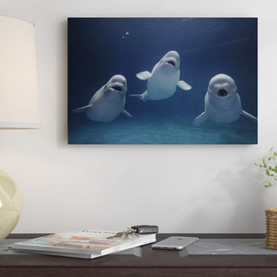 " Beluga Whale Trio Calling "