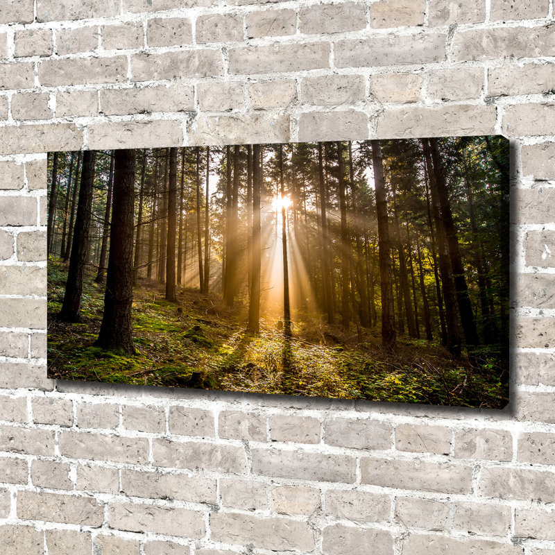 Sunlight - Wrapped Canvas Print, Canvas, 70cm H x 140cm W