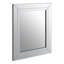 Branda Glass Rectangle Mirror-858596247
