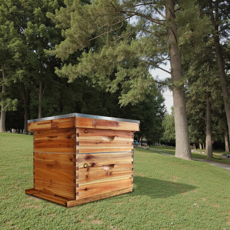 Composants de ruche durables et fiables pour l'apiculture - Pièces essentielles de la ruche pour un entretien efficace du rucher
