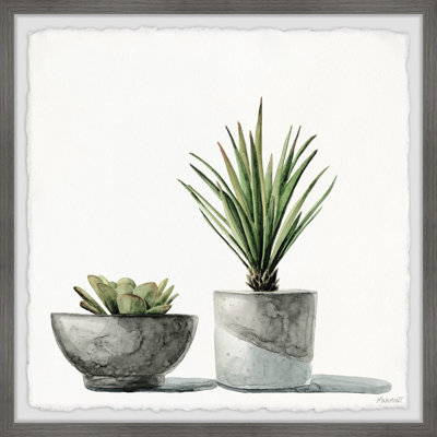 Spiky Succulent - Single Picture Frame Painting