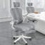 Chaise de bureau ergonomique en filet Choturam avec accoudoirs réglables et soutien lombaire-1108126709