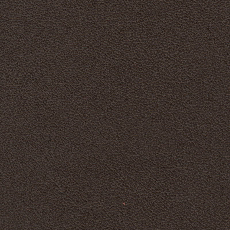 Ramdev Upholstered 80'' Sofa, Brown