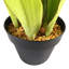 177.8cm Faux Snake Plant (Sansevieria) Plant in Pot Liner