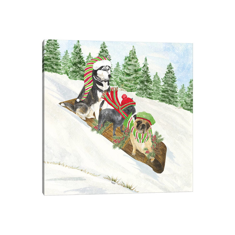 Dog Days Of Christmas III - Sledding by Tara Reed - Wrapped Canvas Painting, 30.48 cm H x 30.48 cm W
