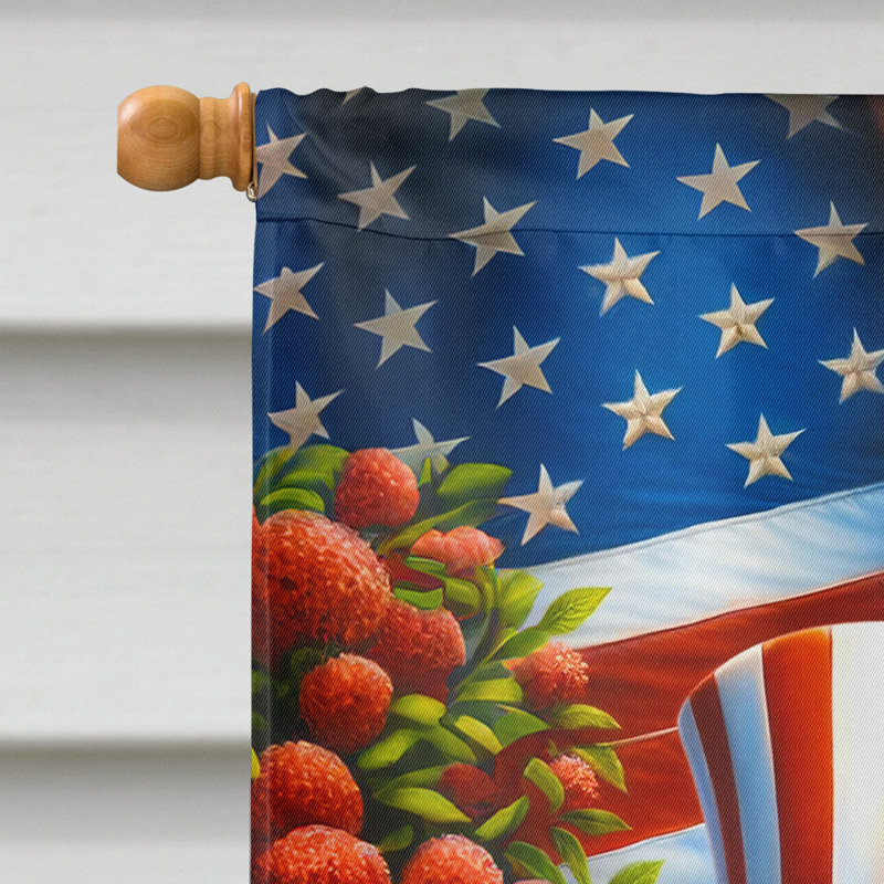 Drapeau «All American House», Bleu / rouge / caniche blanc