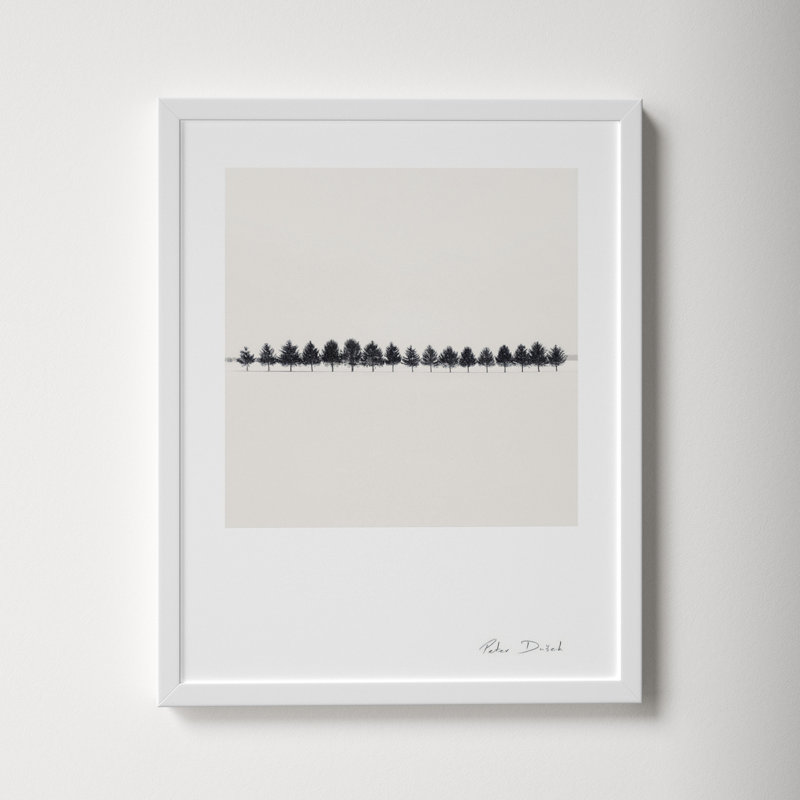 Seventeen Trees by Peter Dušek, White, 20" H x 16" W x 1.25" D