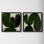 Succulent Set Of 2 by StudioM