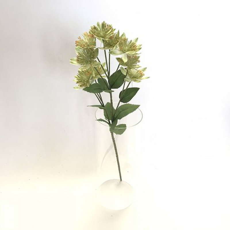 Arrangement floral de pissenlit dans un vase