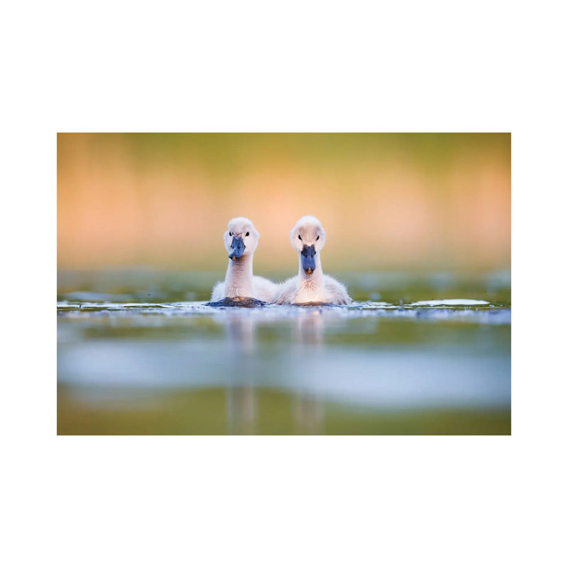 Brothers by Mateusz Piesiak - Wrapped Canvas Print, 66.04 cm H x 45.72 cm W