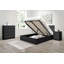 Marqita Double (4'6) Ottoman Bed-87148069-87148072