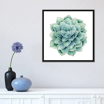 « succulent nuanciers i », impression sur toile