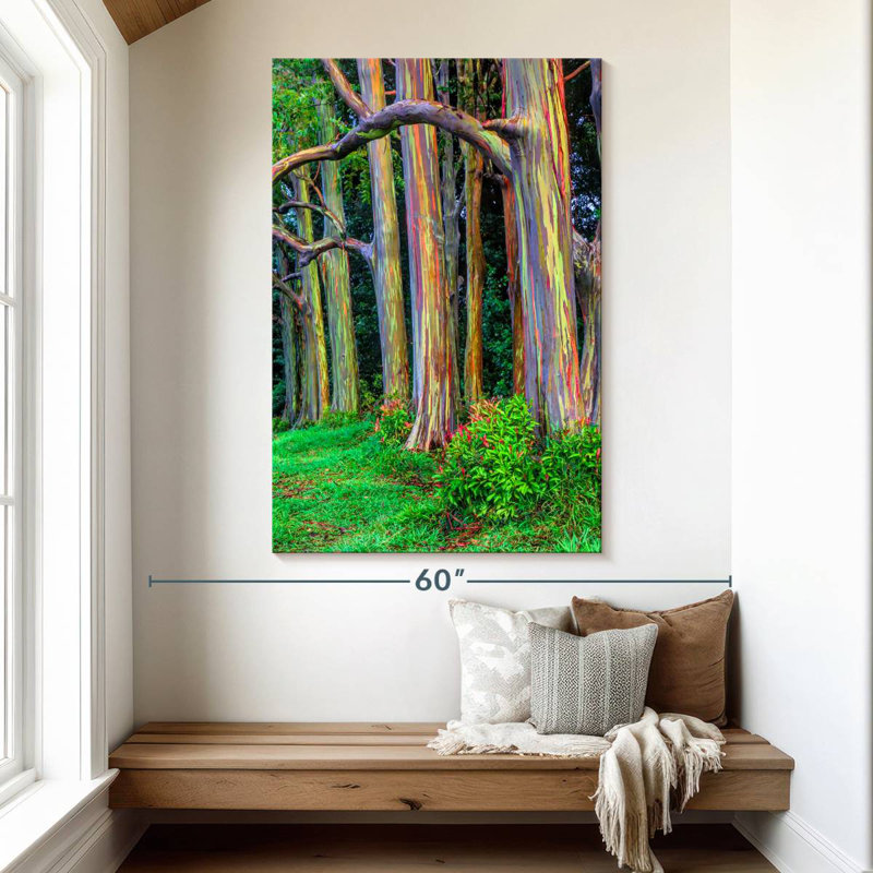 Arbres d'eucalyptus Alvord Maui Rainbow, H 51 po x l 34 po