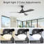 Ventilateur de plafond noir 52 pouces avec 3 pales en ABS, télécommande, moteur à courant continu réversible, silencieux, 3 tiges disponibles, intensité variable à DEL-1237720459-1237720458