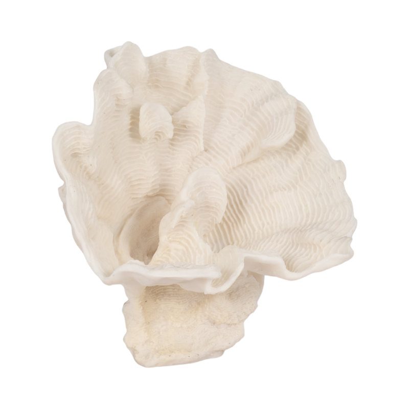 Sagebrook Home 12" Polyresin Coral Fan Decor, Ivory