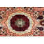 Wool Oriental Area Rug