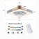 Elayna 22 Inch Modern Ceiling Fan with Light and Remote Control