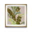 Rainforest II ', peinture-29162287-32972394