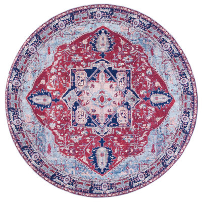 Sonia Oriental Red/Navy Area Rug