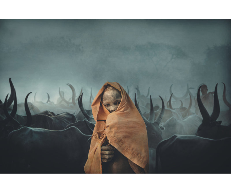 Wrapped Canvas Print, 60.96 cm H x 91.44 cm W