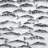 Gray Shoal of Fish Tablecloth | Bedroom Animals Decor