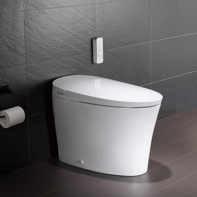 Tankless Smart Bidet Toilet, Chair Height, Booster Pump, Auto/Foot Sensor Flush, Power Outage Flush