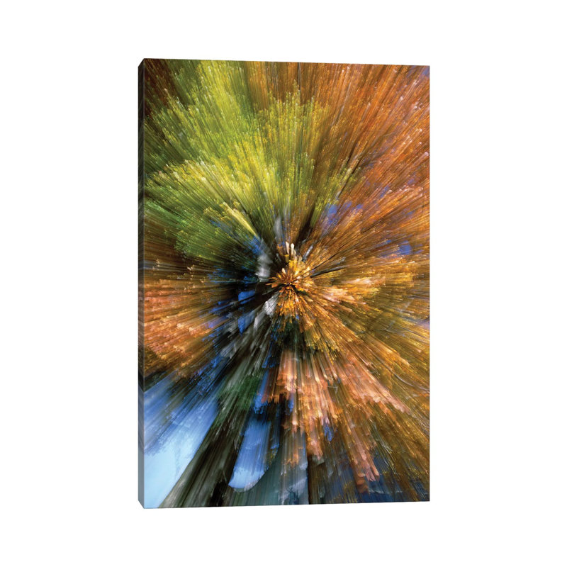 Autumn Foliage, Abstract by Konrad Wothe - Wrapped Canvas Print, 30.48cm H x 20.32cm W x 1.91cm D