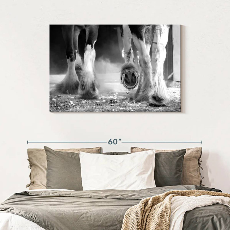 Brampt Clydesdale Horse Legs