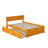 Bueno Park Solid Wood Platform Bed with Footboard and Trundle-1394692524-1394692525