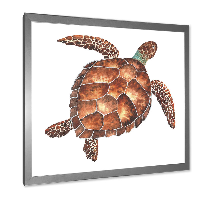Mignonne tortue de mer brune II - sur, Impression argent sur toile encadrée, H 36 po x l 36 po x P 1,5 po