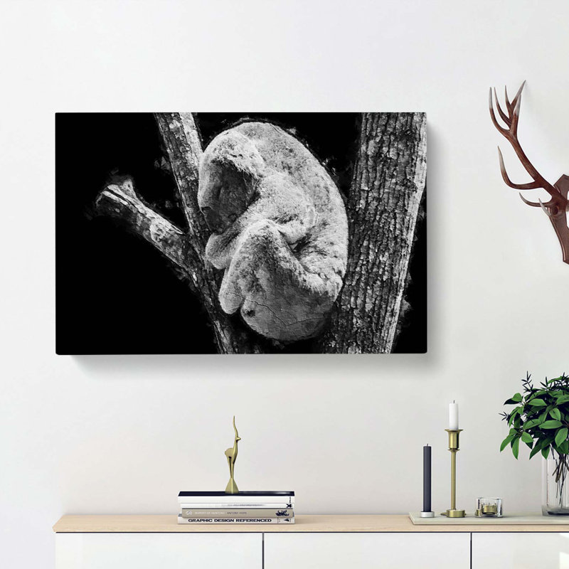 Koala Bear Resting in a Tree - Wrapped Canvas Art - Wrapped Canvas, 35cm H x 50cm W x 3cm D